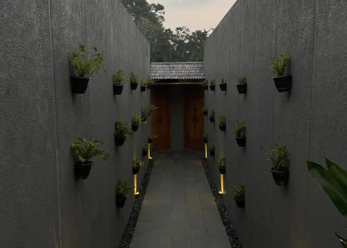 The Clifton ヴィラ *